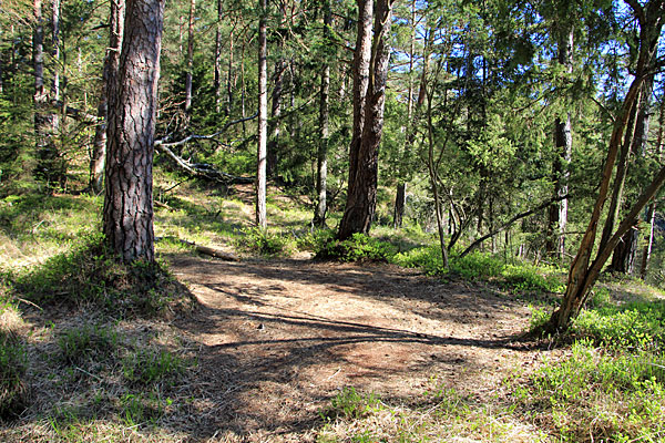 Zeltplatz am Stora Ramsjön