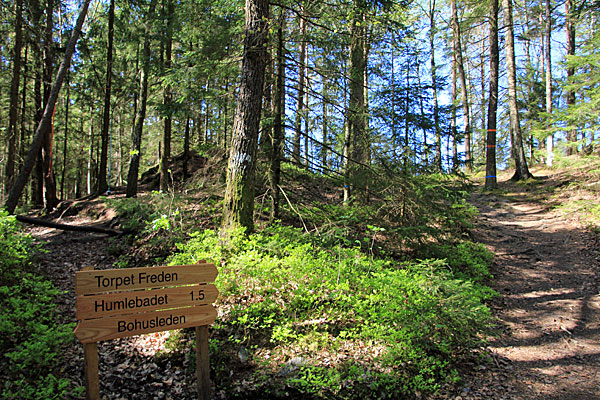 Weggabelung