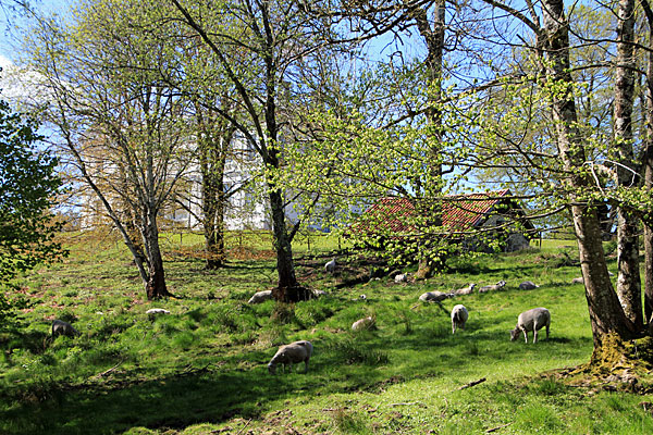 Jonsereds Herrgård