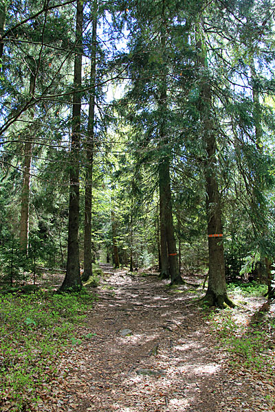 Korpåsberget