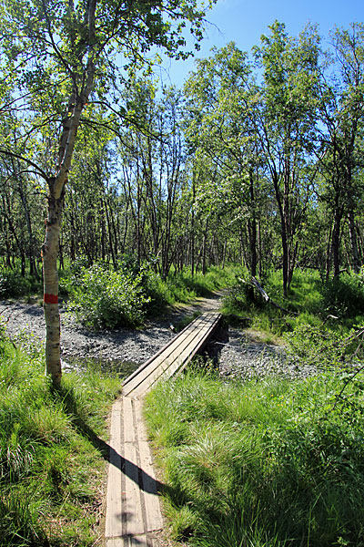 Einfache Holzbrücke