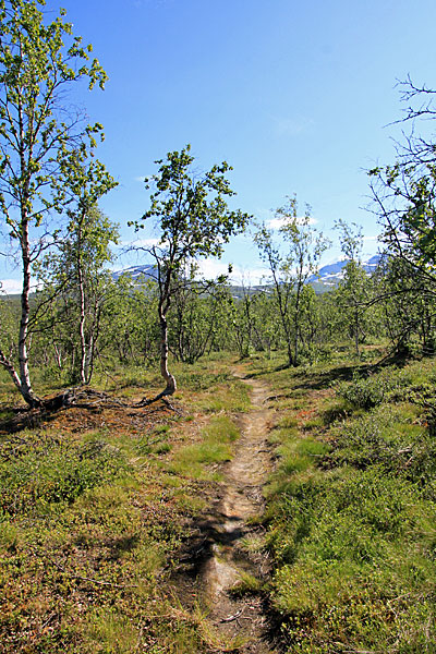 Pfad zum Tältlägret