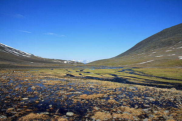 Delta des Ballinjohka