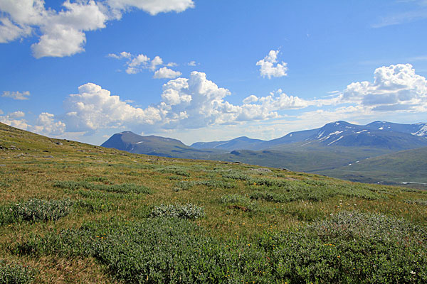 Wiesen hoch über dem Alisvággi
