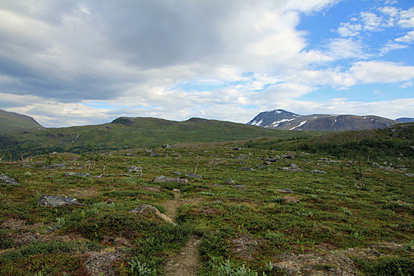 Pfad zum Vierrojohka
