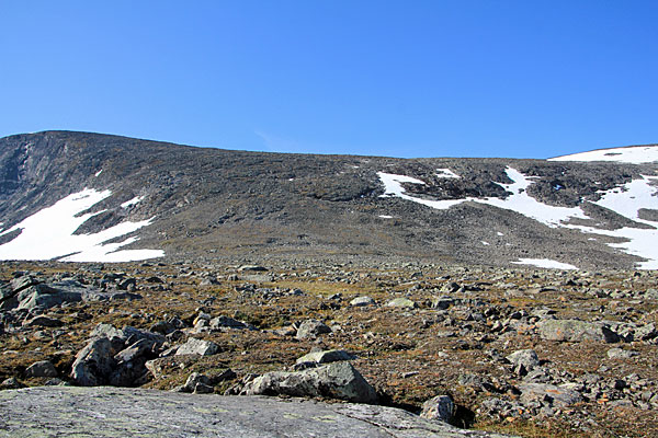 Mårmapasset 