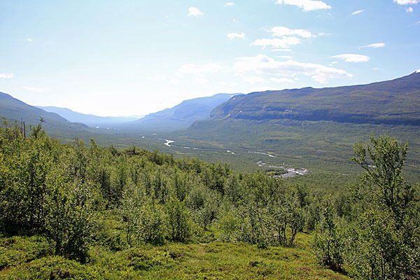 Ich erreiche den Fjällbirkenwald