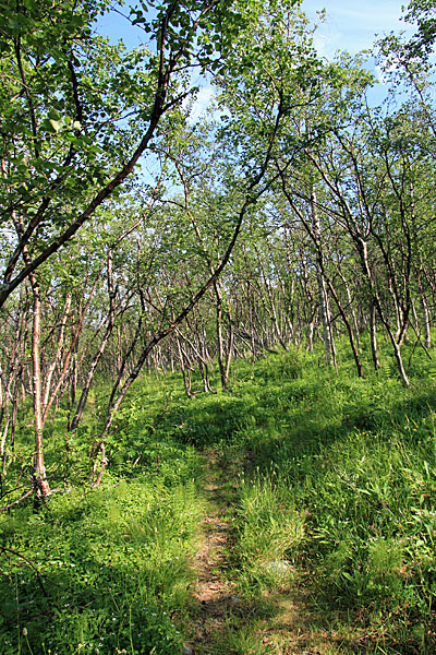 Aufstieg auf den Njunni