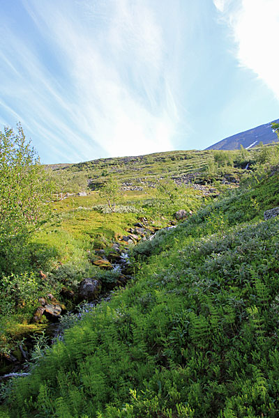 Aufstieg auf den Njunni