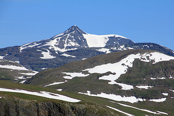 Sälka mit dem Sealggaglaciären