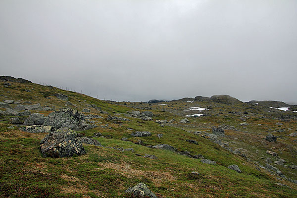 Rentierzaun am Gearbilčohkka