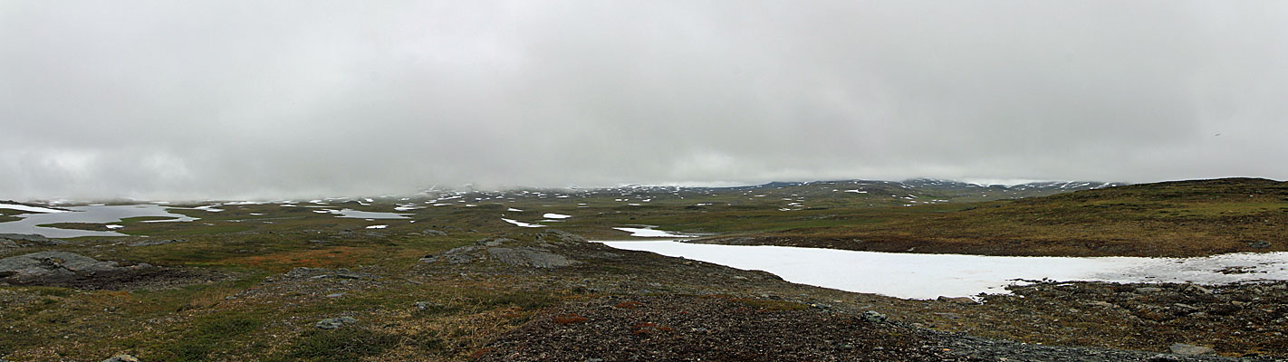 Luohttiláhku