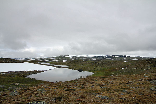 Luohttiláhku