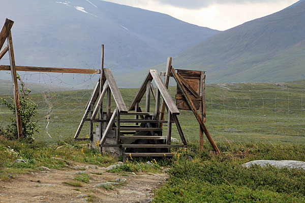 Rentierzaun mit Übergang