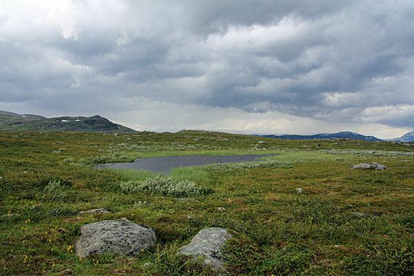 Tümpel am Kungsleden