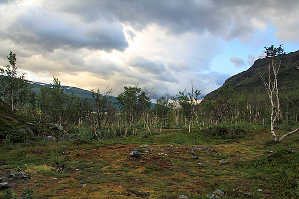 Zeltmöglichkeit am Šiellajohka