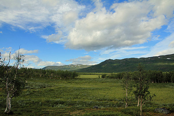 Blick ins Gámavuopmi
