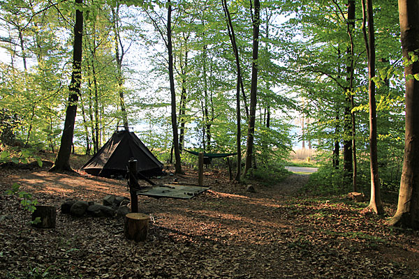 Kollund Skov Teltplads