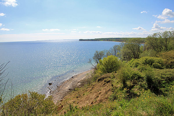 Stensigmose Klint