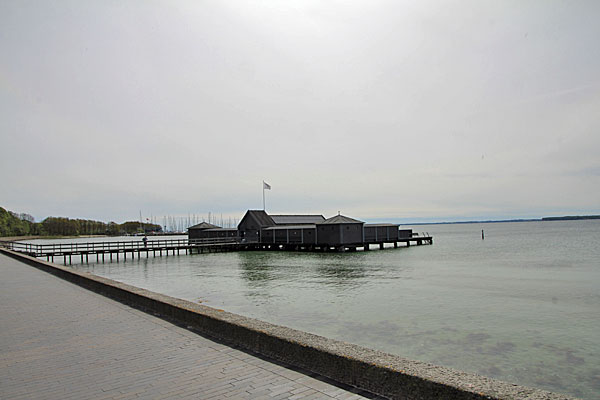 Vikingeklubben