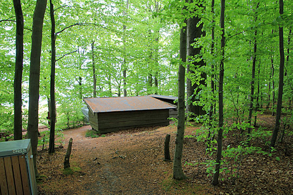 Shelter Lambjerg Indtægt