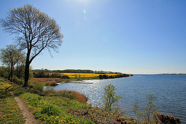 Mündung der Vibæk