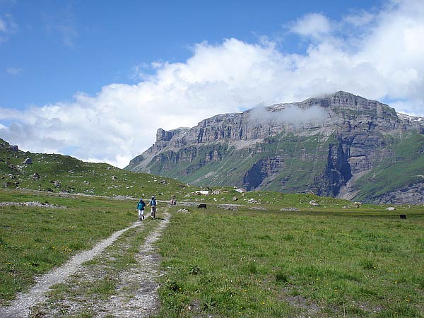 Gemsfairenboden
