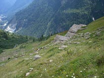 Alpe Faller