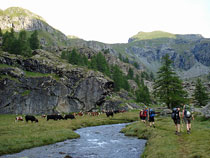 An der Alpe di Tzere