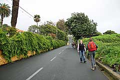 Aufstieg zum Jardim Botânico da Madeira