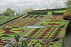 Beete im Jardim Botânico da Madeira