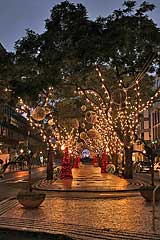 Weihnachtsbeleuchtung in Funchal