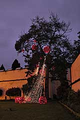 Weihnachtsbeleuchtung in Funchal