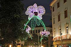 Weihnachtsbeleuchtung in Funchal