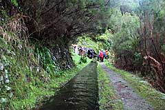 Abzweigung zur Levada das 25 Fontes