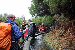 Wir erreichen die Levada das 25 Fontes
