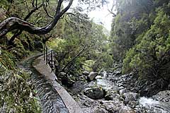 An der Madre der Levada das 25 Fontes
