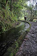 Entlang der Levada