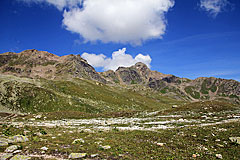 Gorihorn