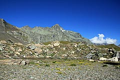 Piz Platta