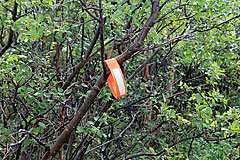 Rentierhalsband als Wegmarkierung