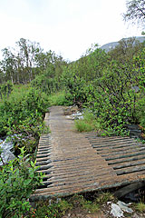 Brücke über einen Bach