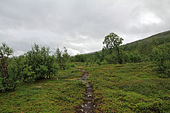 Das Kalfjäll kommt näher