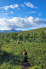 Pfad Richtung Njavvejågåsj 