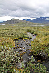 Bach am Berghang Njavvebuollda