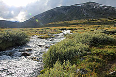 Lulep Niendojågåsj