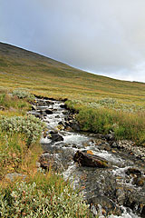 Bach im Bierikdalen