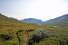 Pfad im oberen Rapadalen