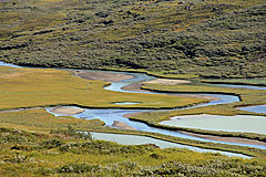 Delta des Guohperjåhkå