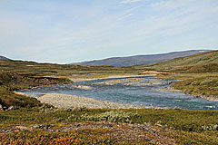 Miellädno